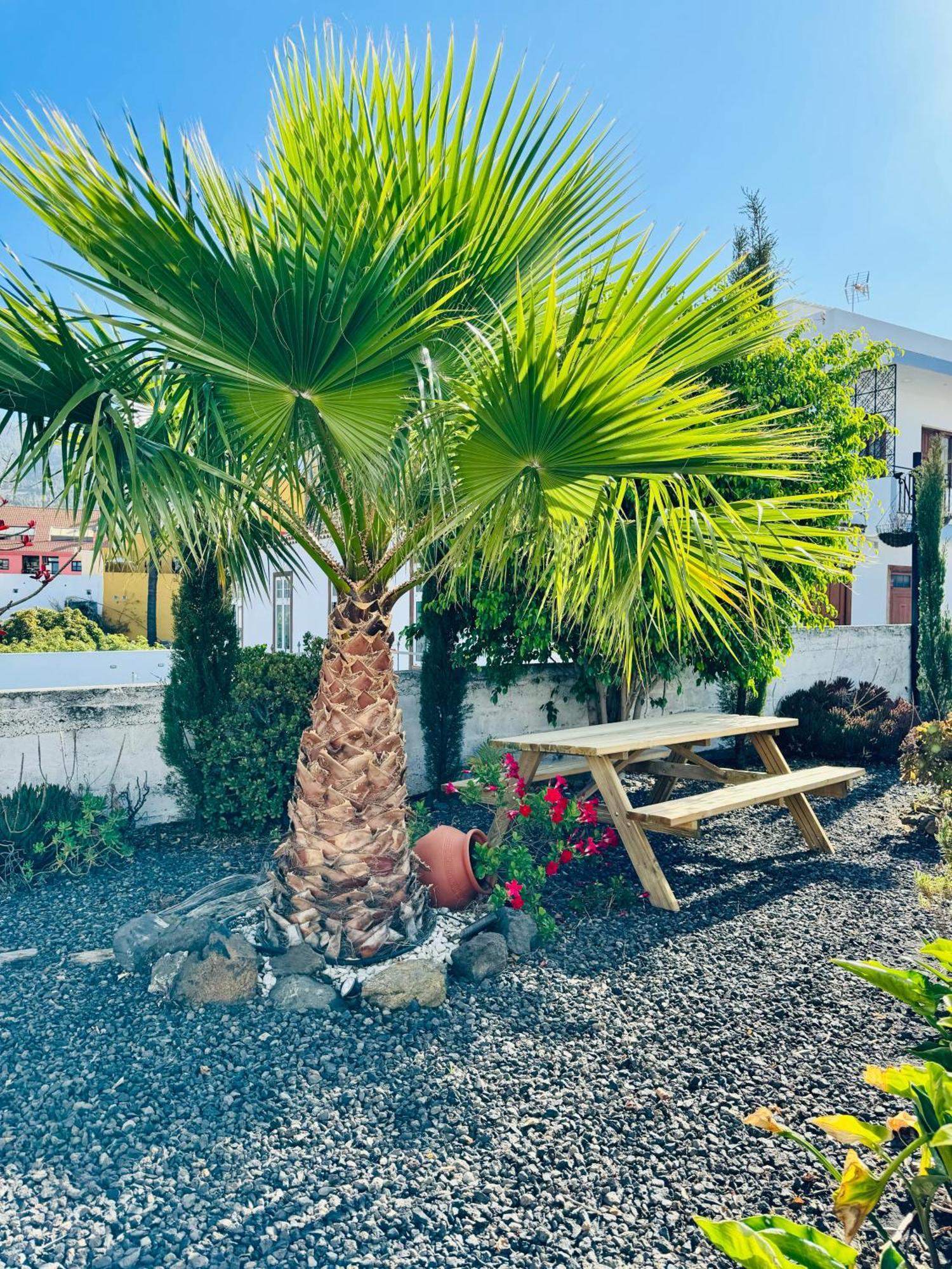 Bungalow Los Laureles El Paso Exteriör bild
